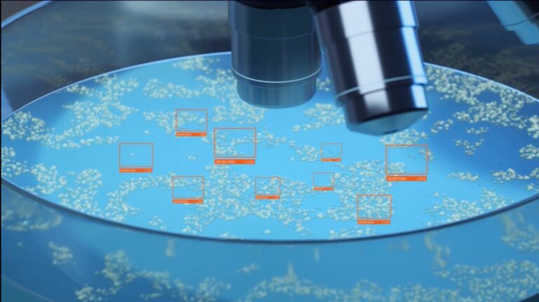 Simulated bacterial growth on an R2A plate under a microscope