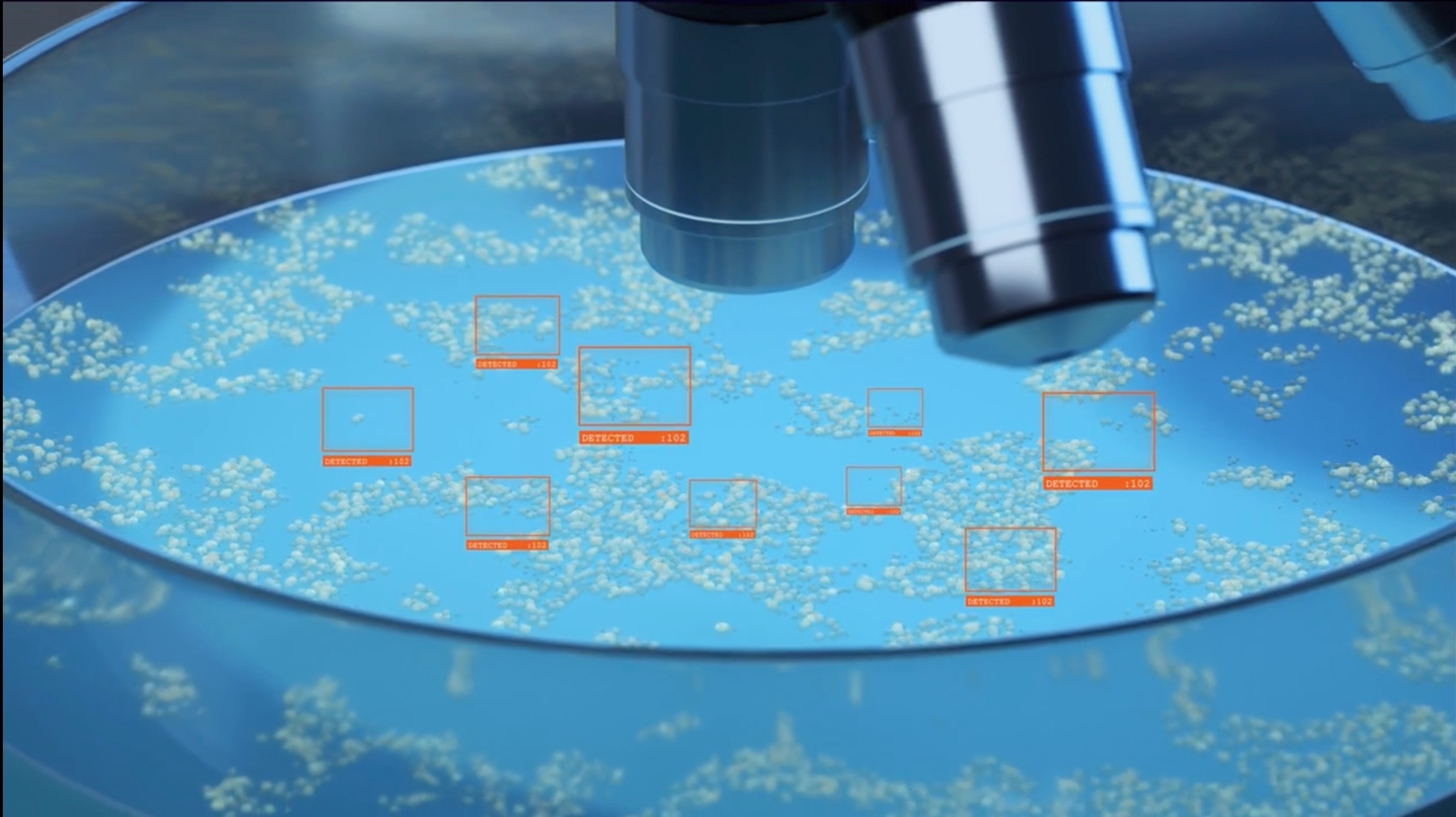 Simulated bacterial growth on an R2A plate under a microscope
